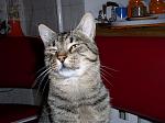     
: P9190245-1.JPG
: 7
:	265.8 
ID:	10355265