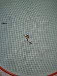     
: 14270990_380145292.jpg
: 33
:	198.2 
ID:	10355328