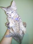     
: QSUxDOBCYg8.jpg
: 3
:	89.0 
ID:	10358694