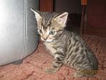     
: IMG_2644.jpg
: 2
:	173.0 
ID:	10363868