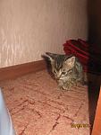     
: IMG_2646.jpg
: 5
:	94.0 
ID:	10363869