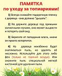    
: g6qnfaYt76A.jpg
: 7
:	81.4 
ID:	10366211