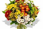     
: zhenskie-bukety-f2974371.jpg
: 44
:	64.9 
ID:	10376932