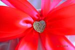     
: DSC_0011.jpg
: 18
:	66.9 
ID:	10379319