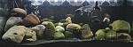     
: DSC_0023.jpg
: 44
:	74.7 
ID:	10380624
