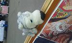     
: 20151003_150807.jpg
: 32
:	119.8 
ID:	10382249