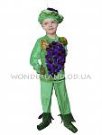     
: vinograd_1.jpg
: 73
:	50.1 
ID:	10382808