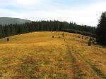     
: IMG_3966.jpg
: 29
:	188.5 
ID:	10383515