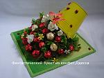     
: DSC01627.jpg
: 9
:	130.9 
ID:	10384536