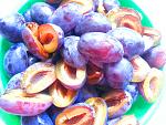     
: 20151003_113332.jpg
: 21
:	182.6 
ID:	10385604