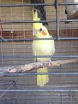     
: IMG_2688.jpg
: 166
:	82.5 
ID:	10386417
