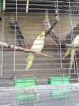     
: IMG_2691.jpg
: 30
:	143.1 
ID:	10386420