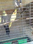     
: IMG_2684.jpg
: 39
:	133.6 
ID:	10386426