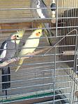     
: IMG_2685.jpg
: 30
:	117.4 
ID:	10386427