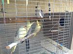    
: IMG_2686.jpg
: 164
:	210.4 
ID:	10386429