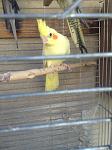    
: IMG_2687.jpg
: 28
:	89.8 
ID:	10386430