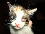     
: DSCF2442.jpg
: 18
:	61.1 
ID:	1038962