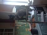     
: image.jpg
: 205
:	108.1 
ID:	10390002