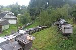     
: IMG_4723.jpg
: 56
:	180.0 
ID:	10390110