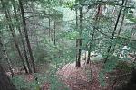    
: IMG_4217.jpg
: 69
:	250.5 
ID:	10390162