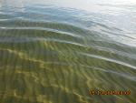     
: DSCN2477.JPG
: 29
:	139.2 
ID:	10390165