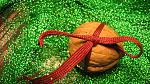     
: IMG_3846.jpg
: 80
:	212.3 
ID:	10392632