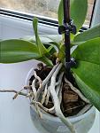     
: IMG_20151006_153011.jpg
: 12
:	95.9 
ID:	10395982
