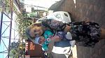     
: uploadfromtaptalk1444150126181.jpg
: 43
:	143.9 
ID:	10397086