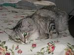     
: IMG_4144.jpg
: 12
:	154.8 
ID:	10398637