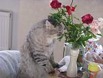    
: IMG_4147.jpg
: 8
:	151.0 
ID:	10398638