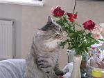     
: IMG_4148.jpg
: 10
:	142.3 
ID:	10398639