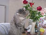     
: IMG_4146.jpg
: 7
:	151.1 
ID:	10398640