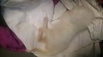     
: DSC_0390_7.jpg
: 13
:	52.5 
ID:	10399091