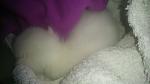     
: DSC_0392_11.jpg
: 19
:	63.4 
ID:	10399127