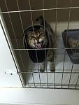     
: p89uDnE1lT8.jpg
: 11
:	43.9 
ID:	10400096