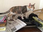     
: Bn-Z_fB77MA.jpg
: 12
:	67.1 
ID:	10400321