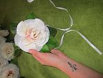     
: IMG_4357.jpg
: 13
:	120.3 
ID:	10401422