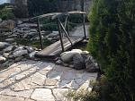     
: IMG_0580.jpg
: 11
:	213.0 
ID:	10403692
