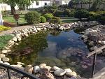     
: IMG_0597.jpg
: 12
:	213.3 
ID:	10403694