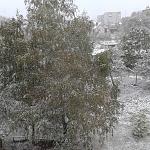     
: J_34ilyPC9Y.jpg
: 25
:	226.2 
ID:	10404108