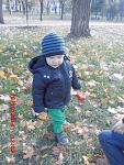     
: CIMG1614.jpg
: 24
:	151.6 
ID:	10406541