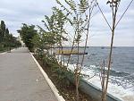     
: image.jpg
: 14
:	215.0 
ID:	10410728