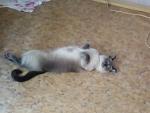     
: IMG_20150828_161457.jpg
: 11
:	61.9 
ID:	10413707