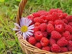     
: 0_84394_2e74ea73_L.jpg
: 66
:	85.5 
ID:	10414301