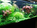     
: 2015-10-10 19.53.25.jpg
: 282
:	209.2 
ID:	10415732