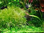     
: 2015-10-10 19.54.33.jpg
: 280
:	255.9 
ID:	10415734