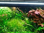     
: 2015-10-10 19.54.03.jpg
: 325
:	244.0 
ID:	10415737