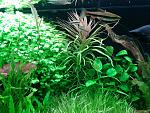     
: 2015-10-10 19.55.13.jpg
: 317
:	222.7 
ID:	10415740