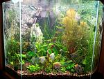     
: 20151010_140651.jpg
: 21
:	247.6 
ID:	10416685