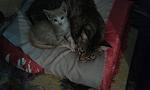     
: YHqgzTSyAPc.jpg
: 12
:	149.8 
ID:	10416718